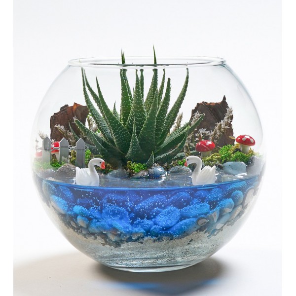 TERERYUM HOWARDİA